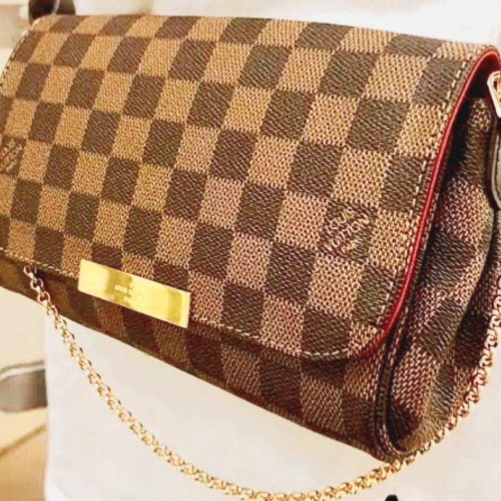Louis Vuitton Pre-USED Bag